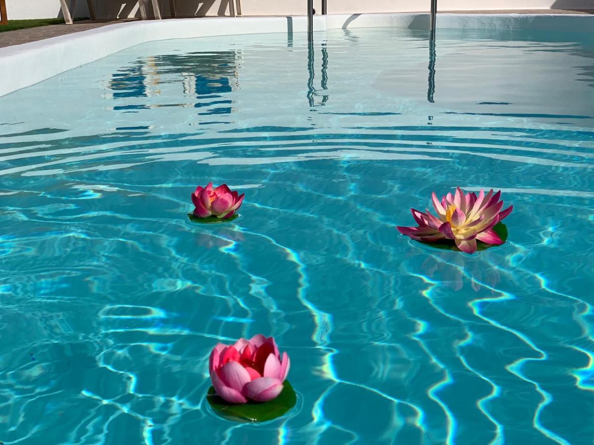 Pico Partido Villa Heated Pool Tinguaton Exteriér fotografie
